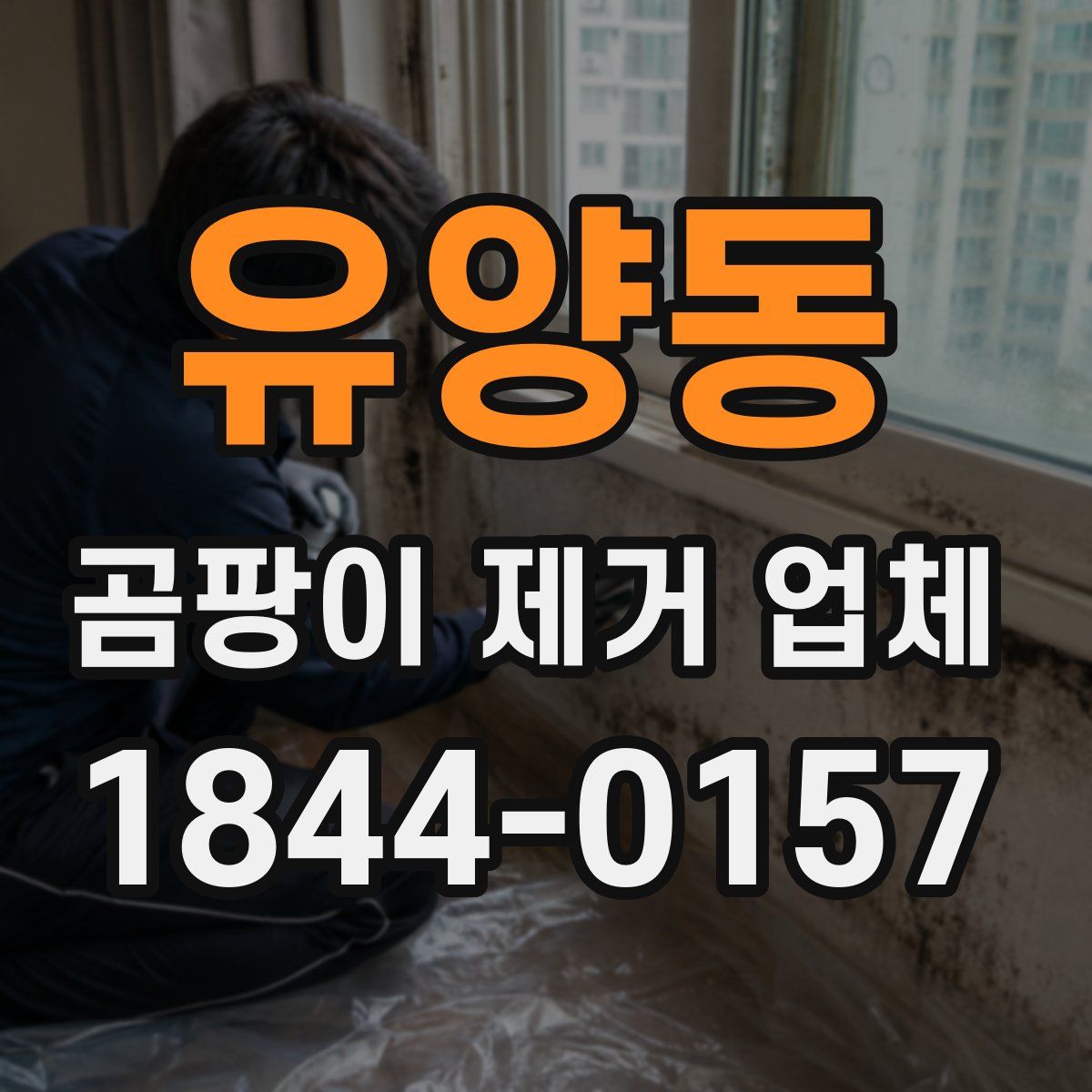 유양동 곰팡이 제거 업체