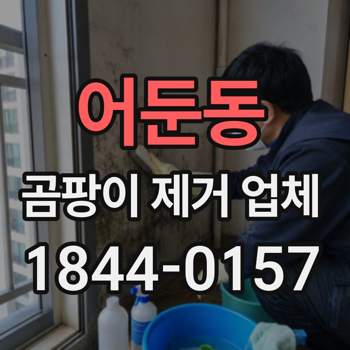 어둔동 곰팡이 제거 업체