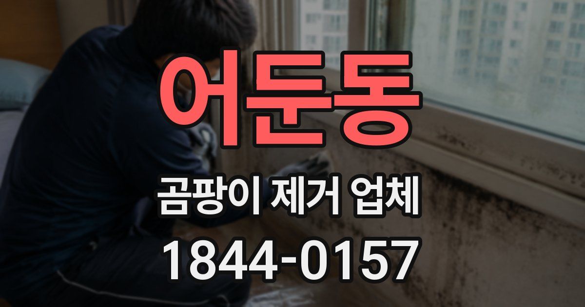 어둔동 곰팡이 제거 업체