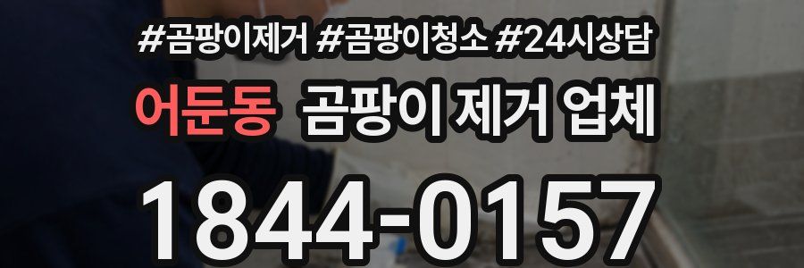 어둔동 곰팡이 제거 업체