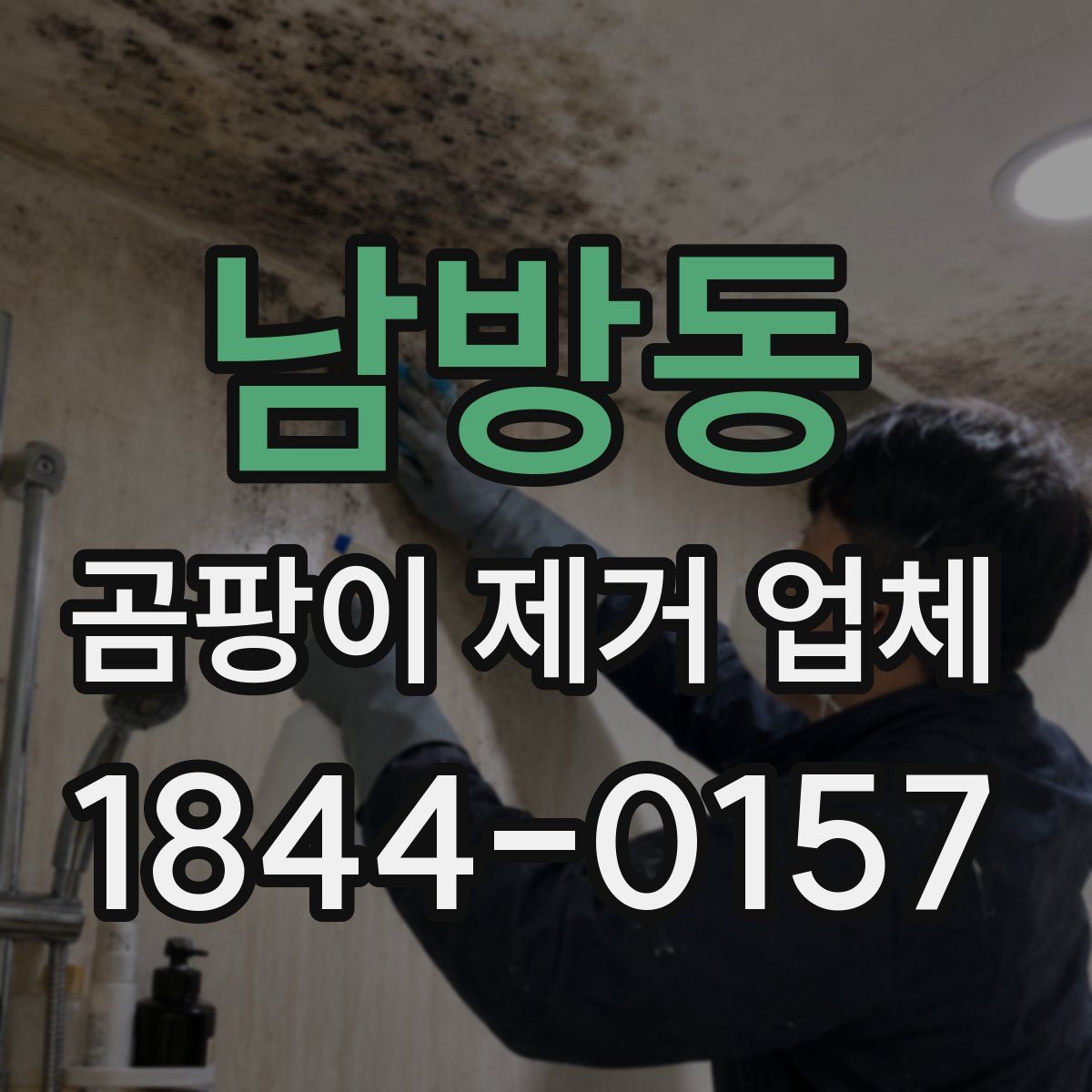 남방동 곰팡이 제거 업체