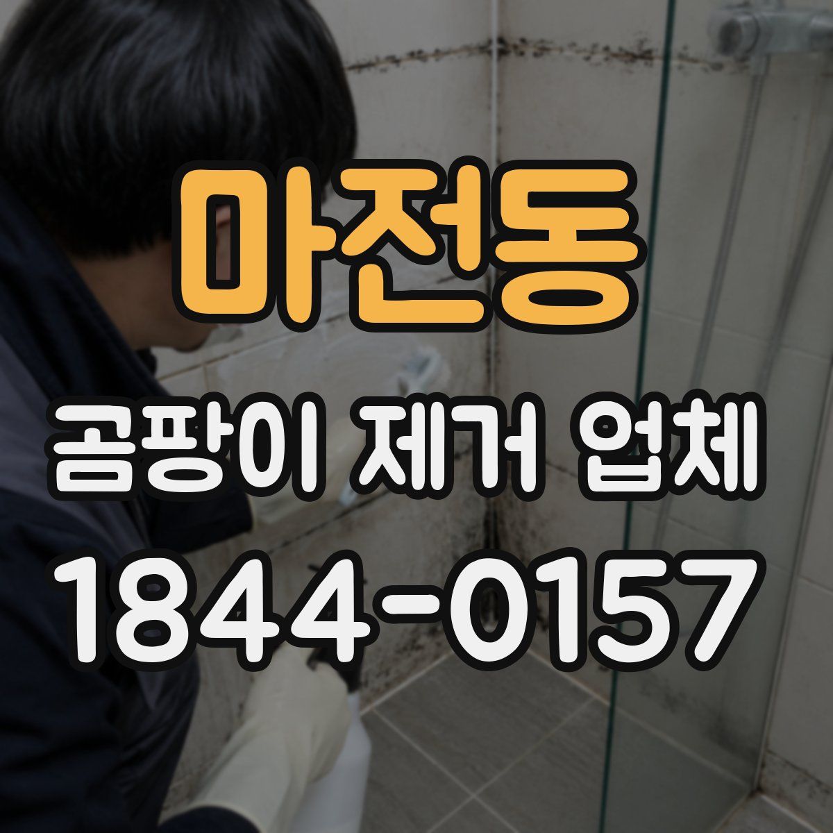 마전동 곰팡이 제거 업체