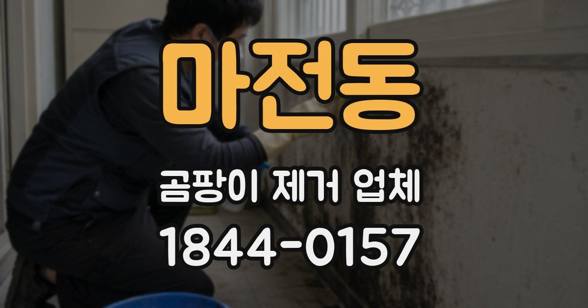 마전동 곰팡이 제거 업체