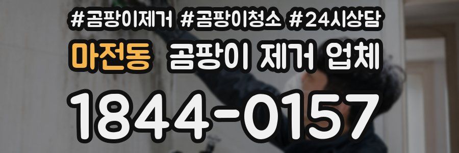 마전동 곰팡이 제거 업체