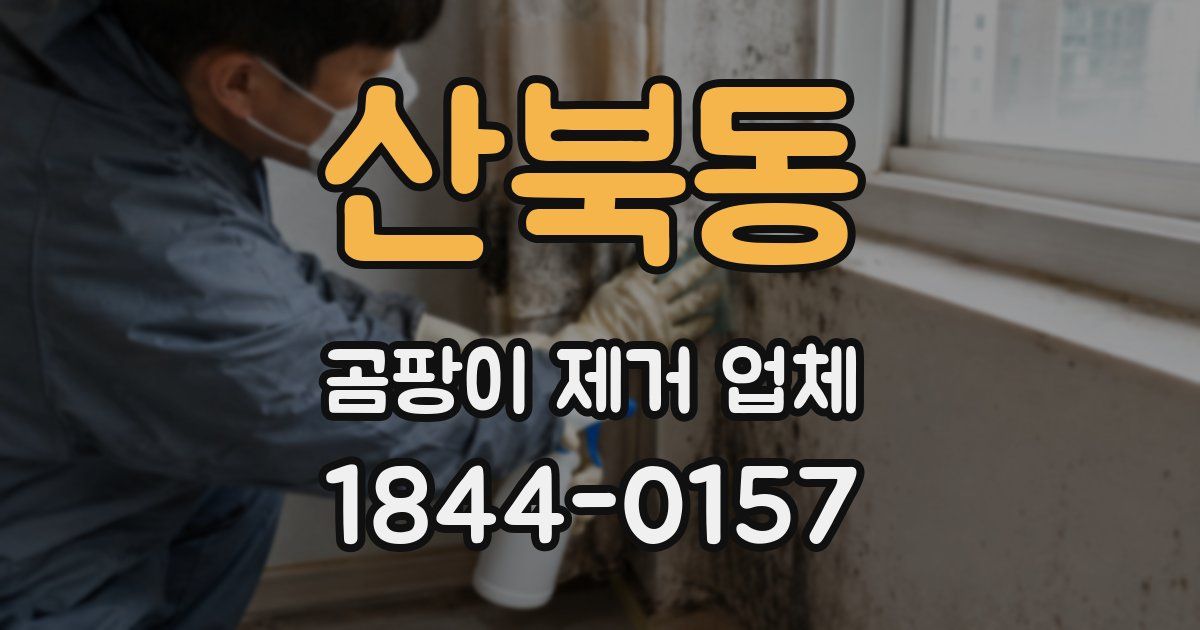 산북동 곰팡이 제거 업체