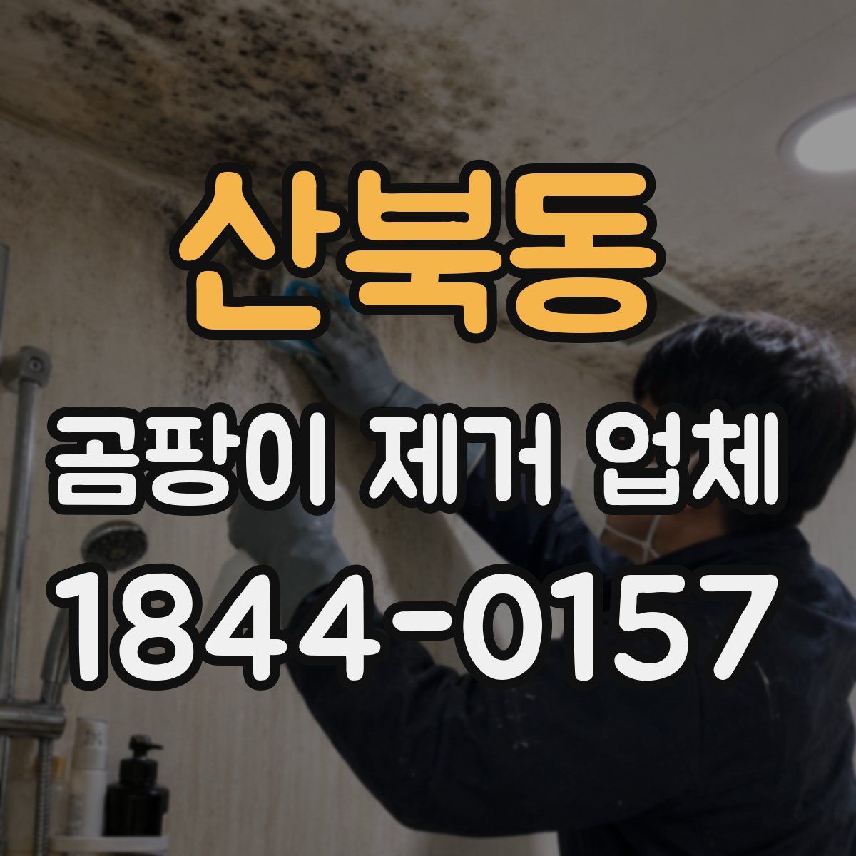 산북동 곰팡이 제거 업체
