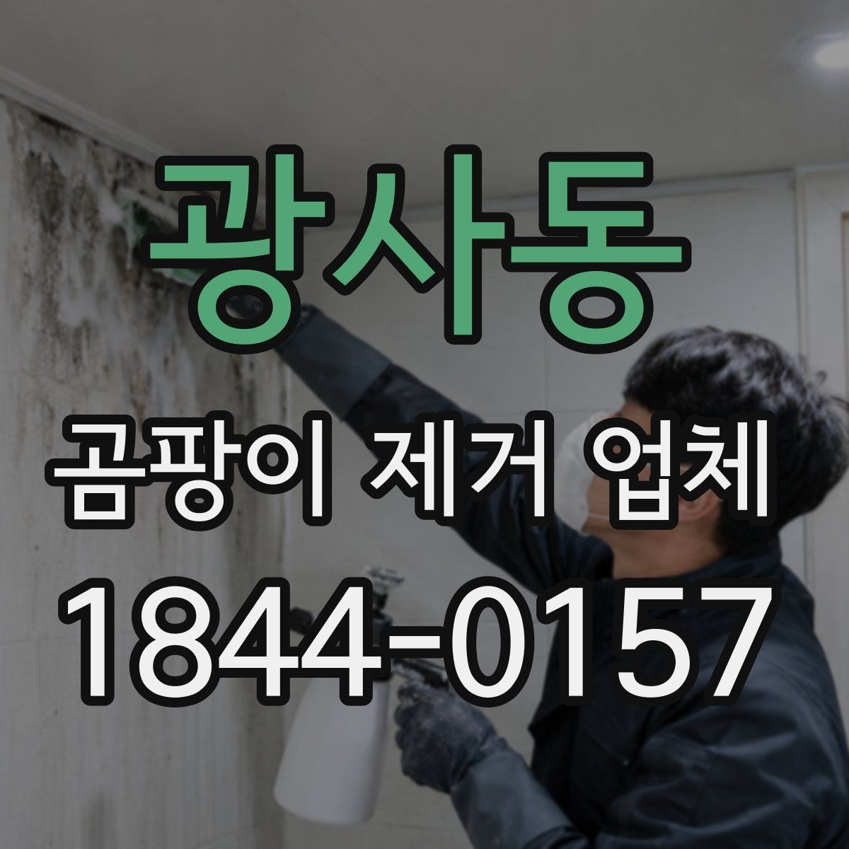 광사동 곰팡이 제거 업체 재발을 부르는 환경 요인을 찾는 진단 과정