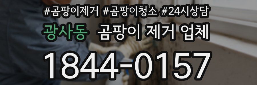 광사동 곰팡이 제거 업체