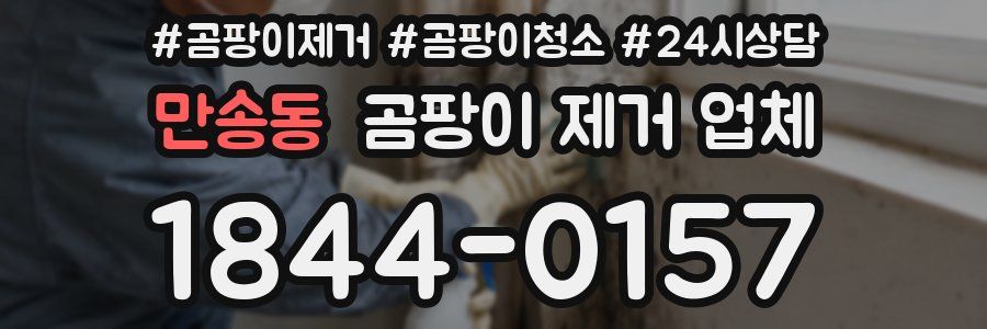 만송동 곰팡이 제거 업체