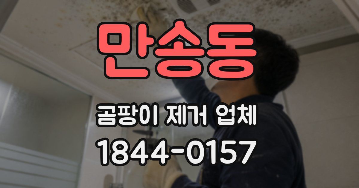 만송동 곰팡이 제거 업체