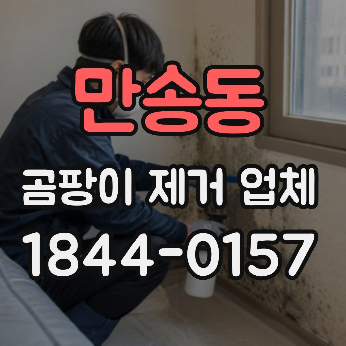 만송동 곰팡이 제거 업체