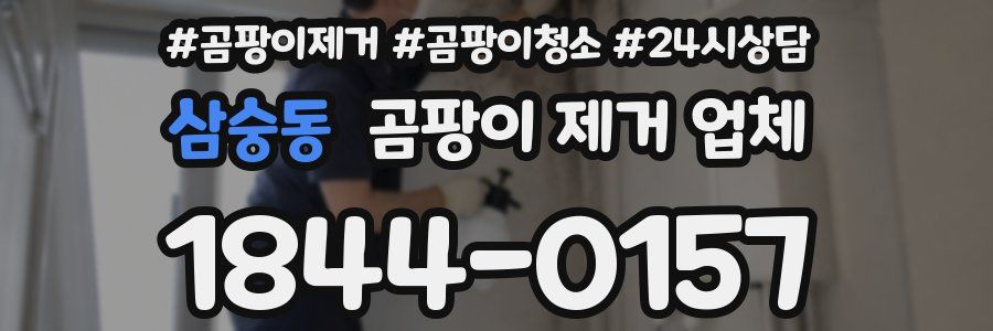 삼숭동 곰팡이 제거 업체