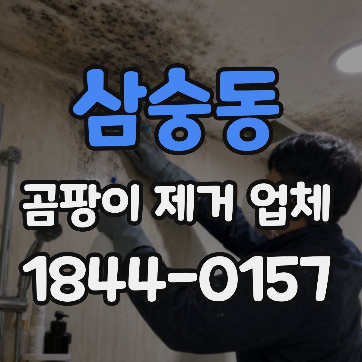 삼숭동 곰팡이 제거 업체