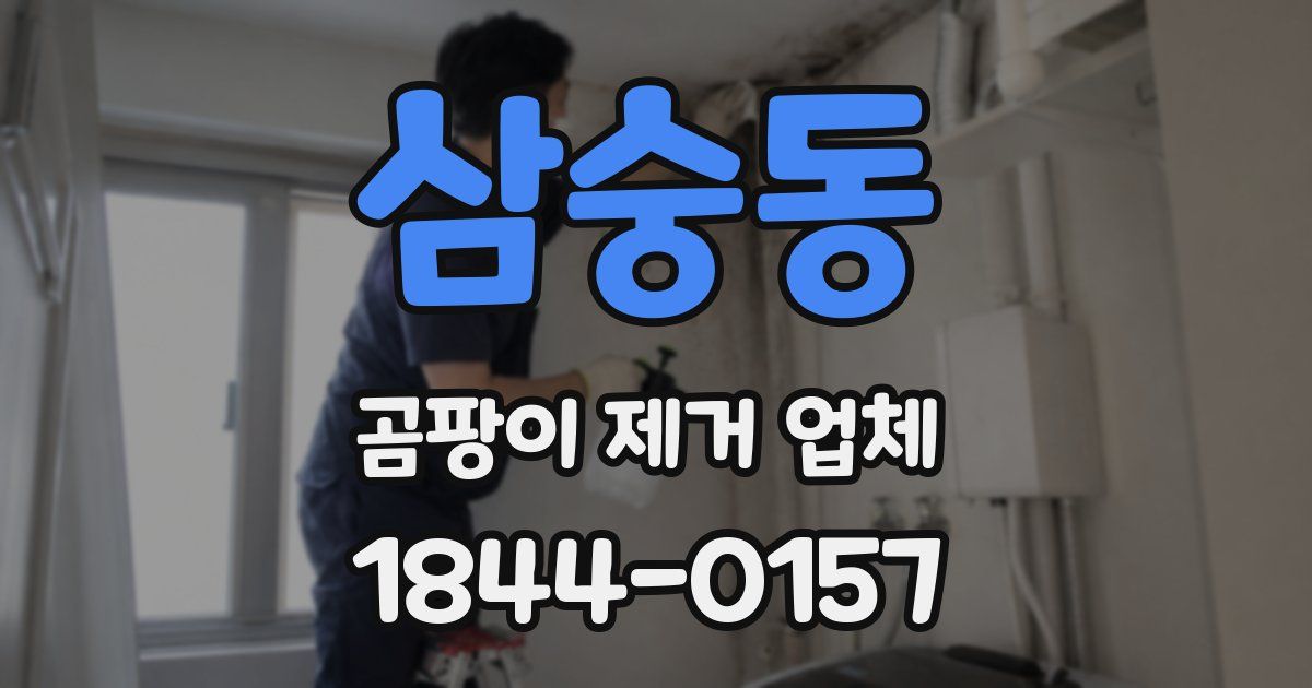 삼숭동 곰팡이 제거 업체