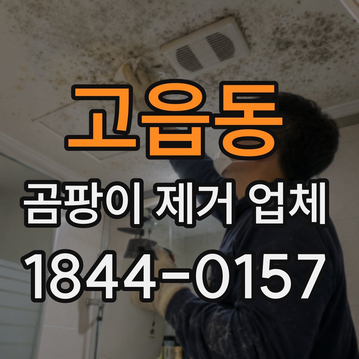 고읍동 곰팡이 제거 업체