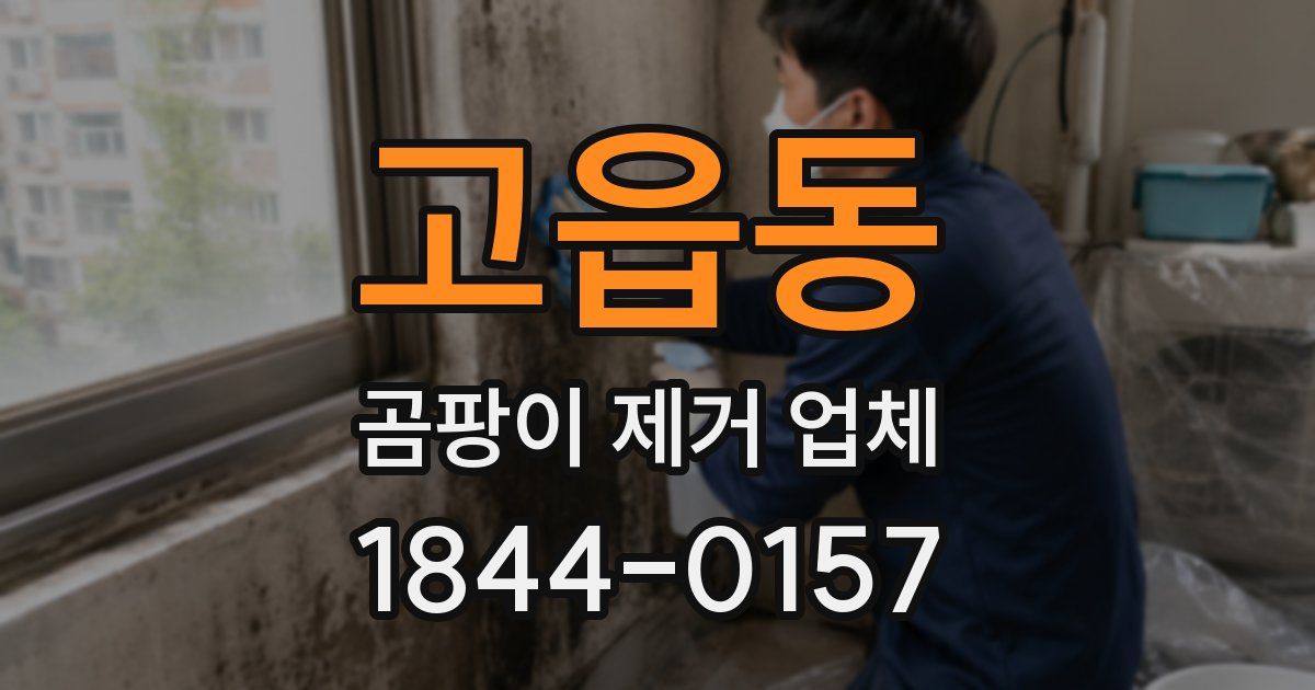고읍동 곰팡이 제거 업체