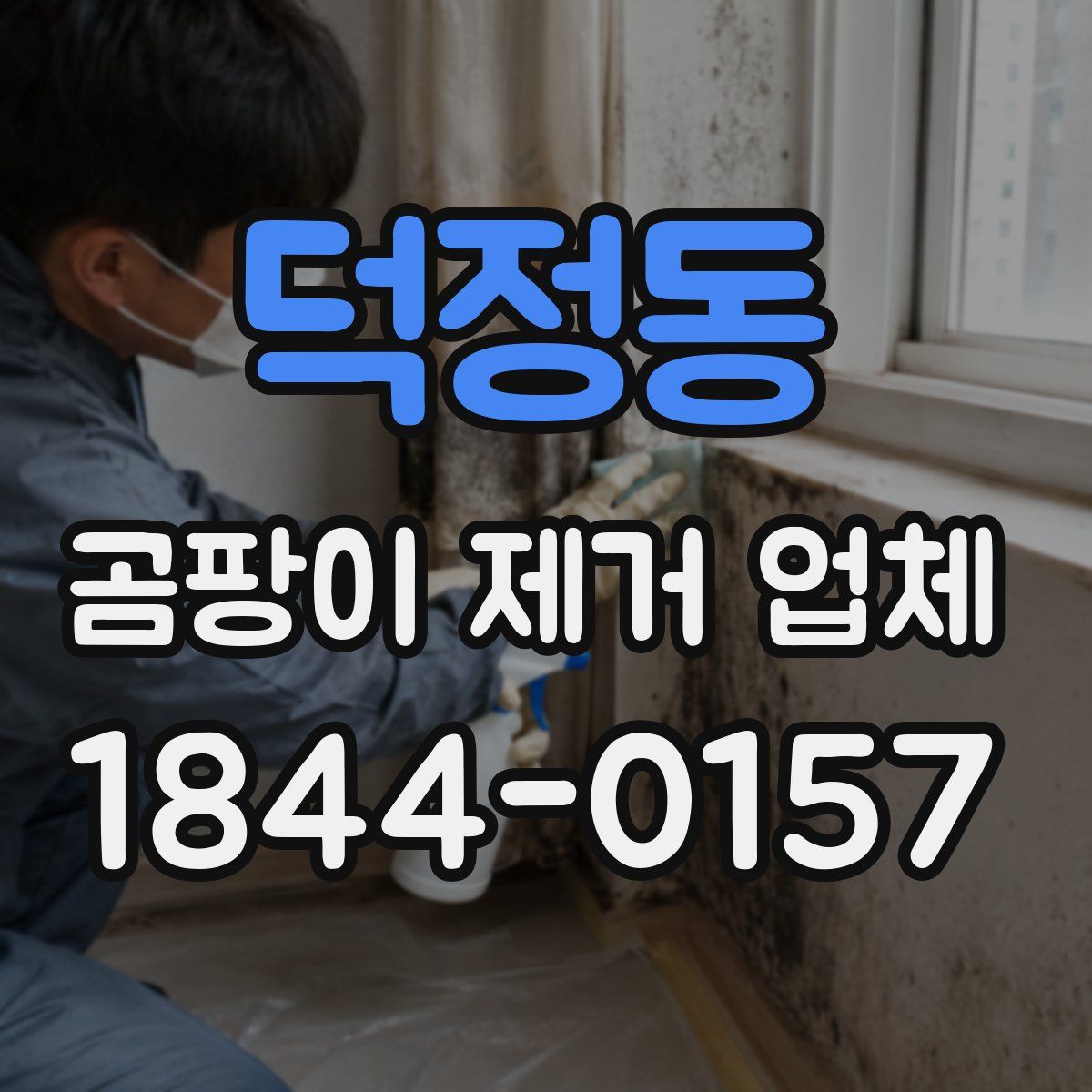 덕정동 곰팡이 제거 업체