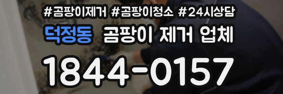 덕정동 곰팡이 제거 업체