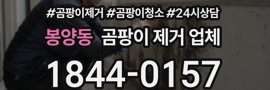 봉양동 곰팡이 제거 업체