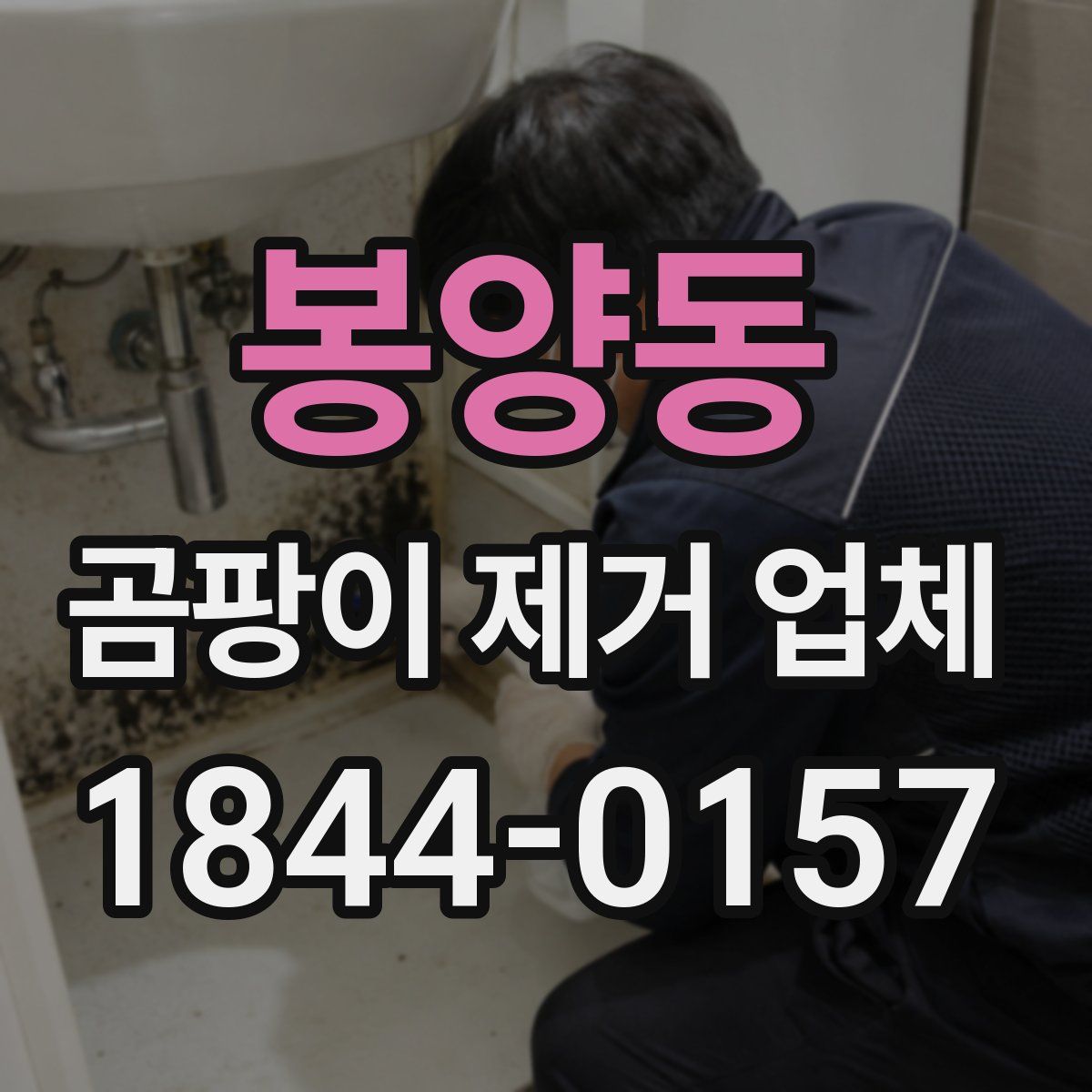 봉양동 곰팡이 제거 업체