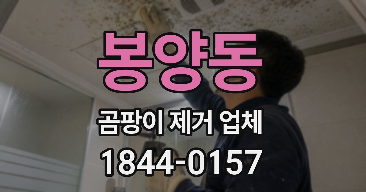 봉양동 곰팡이 제거 업체