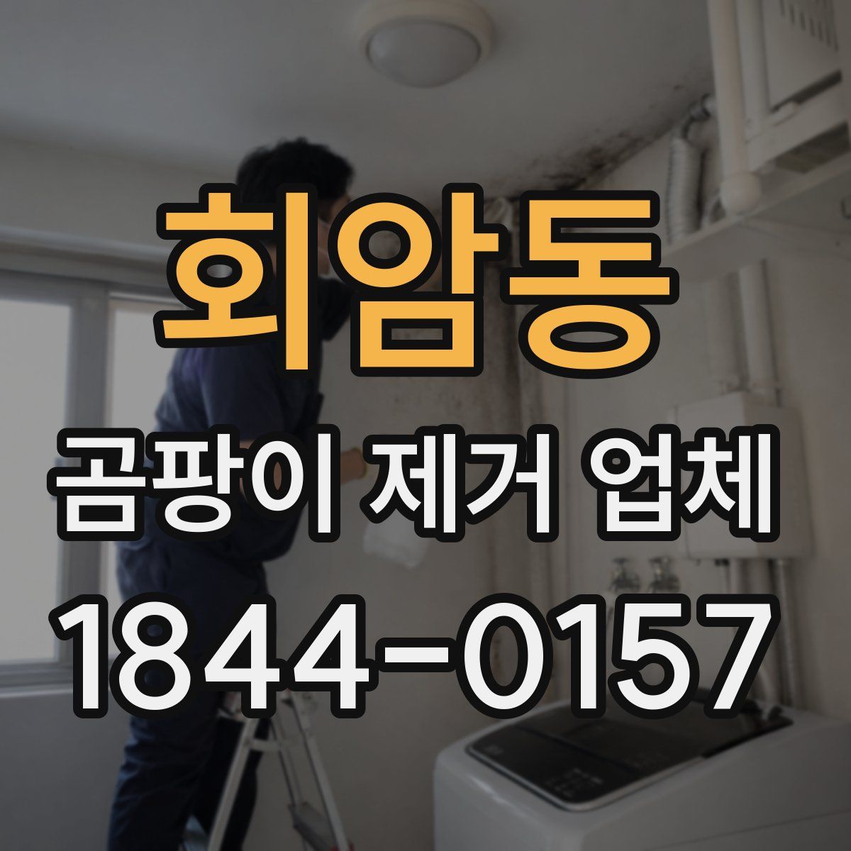 회암동 곰팡이 제거 업체