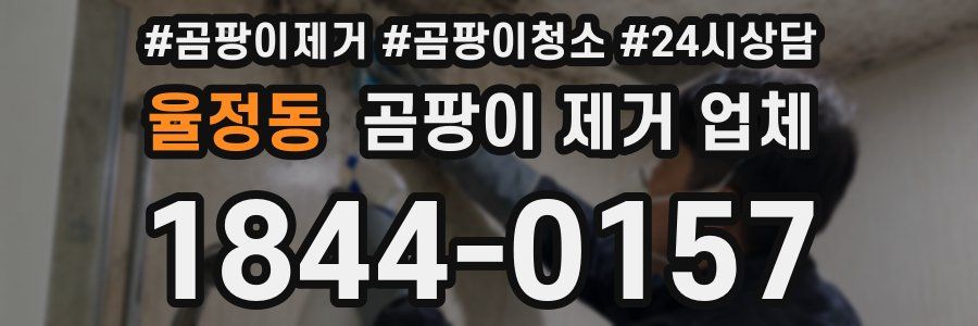율정동 곰팡이 제거 업체