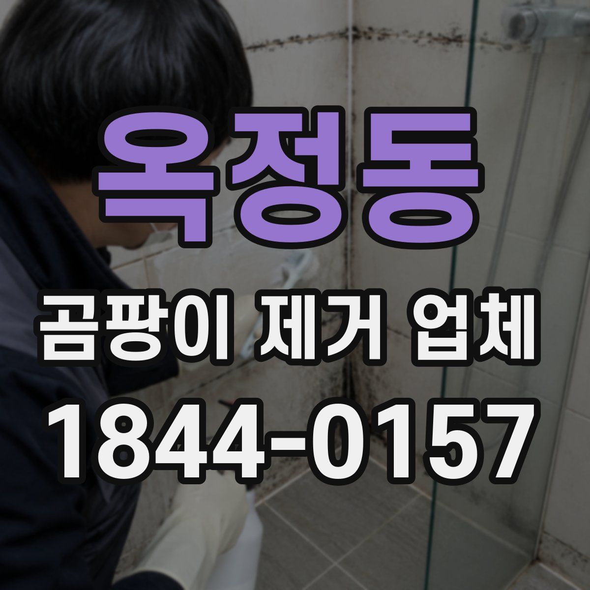 옥정동 곰팡이 제거 업체