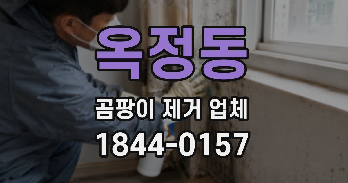 옥정동 곰팡이 제거 업체