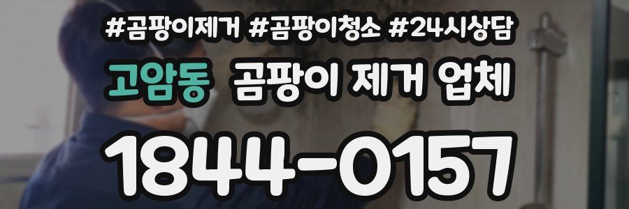 고암동 곰팡이 제거 업체