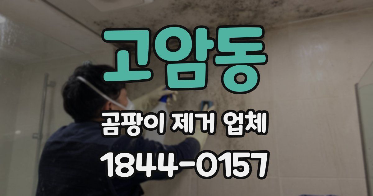 고암동 곰팡이 제거 업체