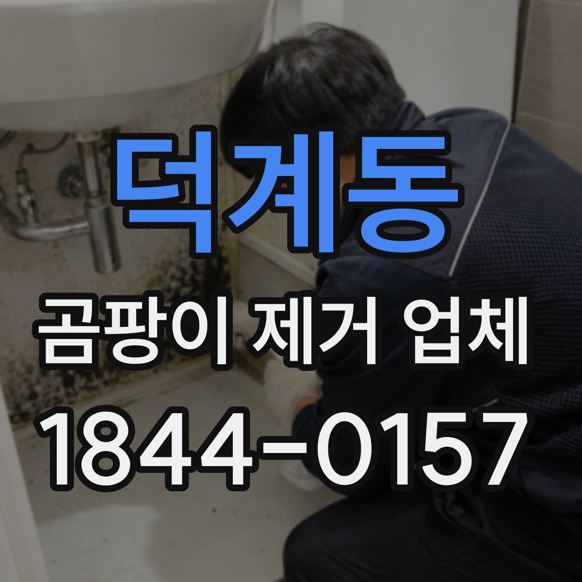 덕계동 곰팡이 제거 업체