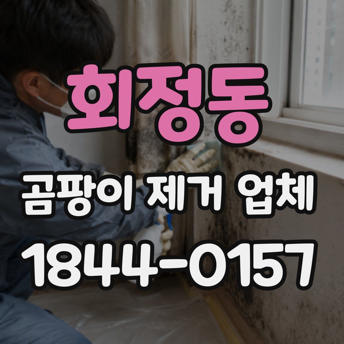 회정동 곰팡이 제거 업체