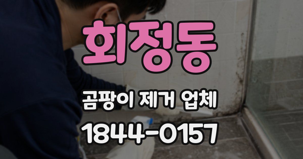회정동 곰팡이 제거 업체