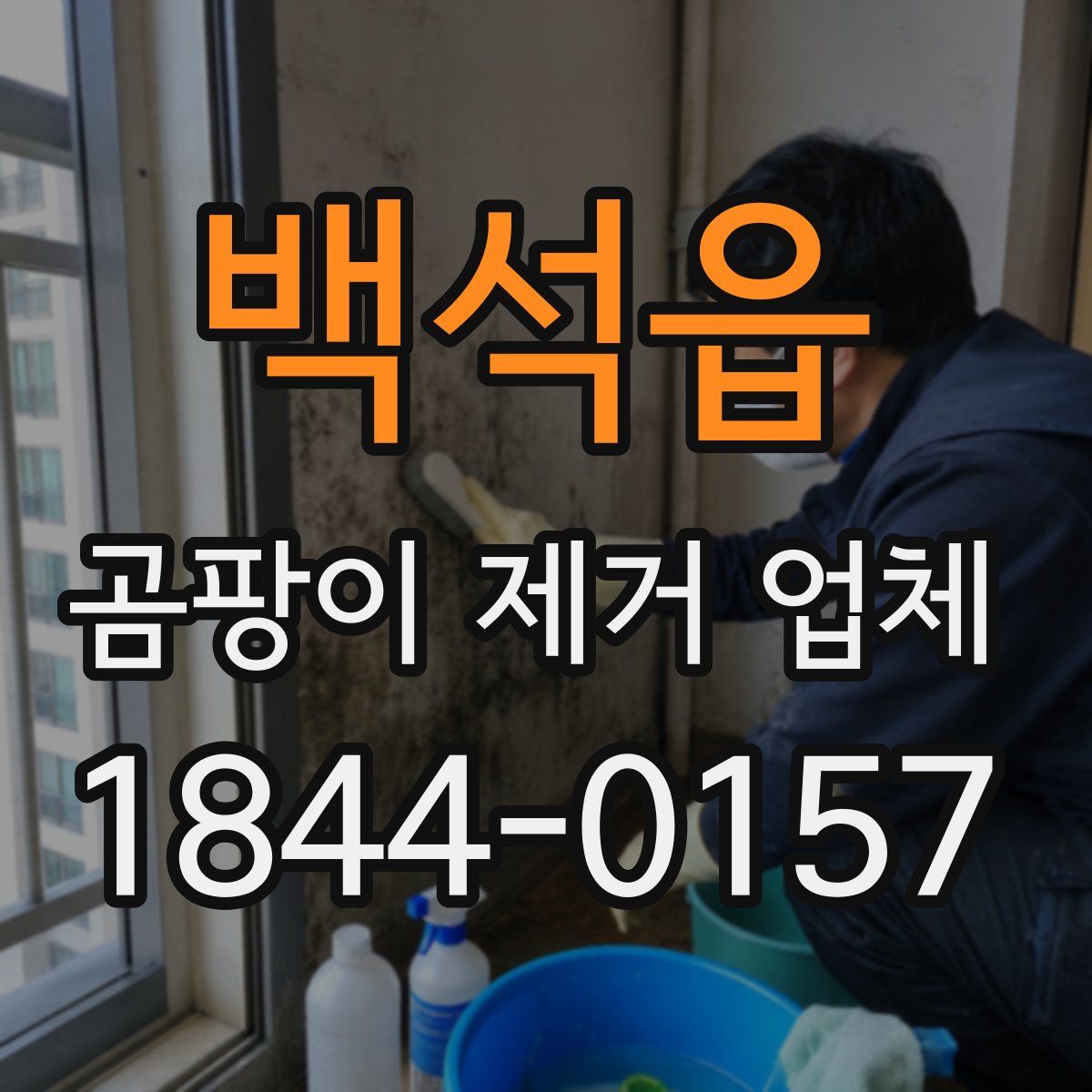 백석읍 곰팡이 제거 업체