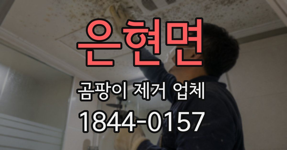은현면 곰팡이 제거 업체
