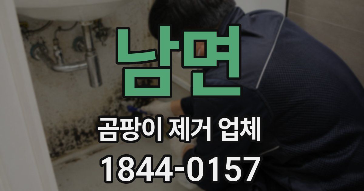 남면 곰팡이 제거 업체