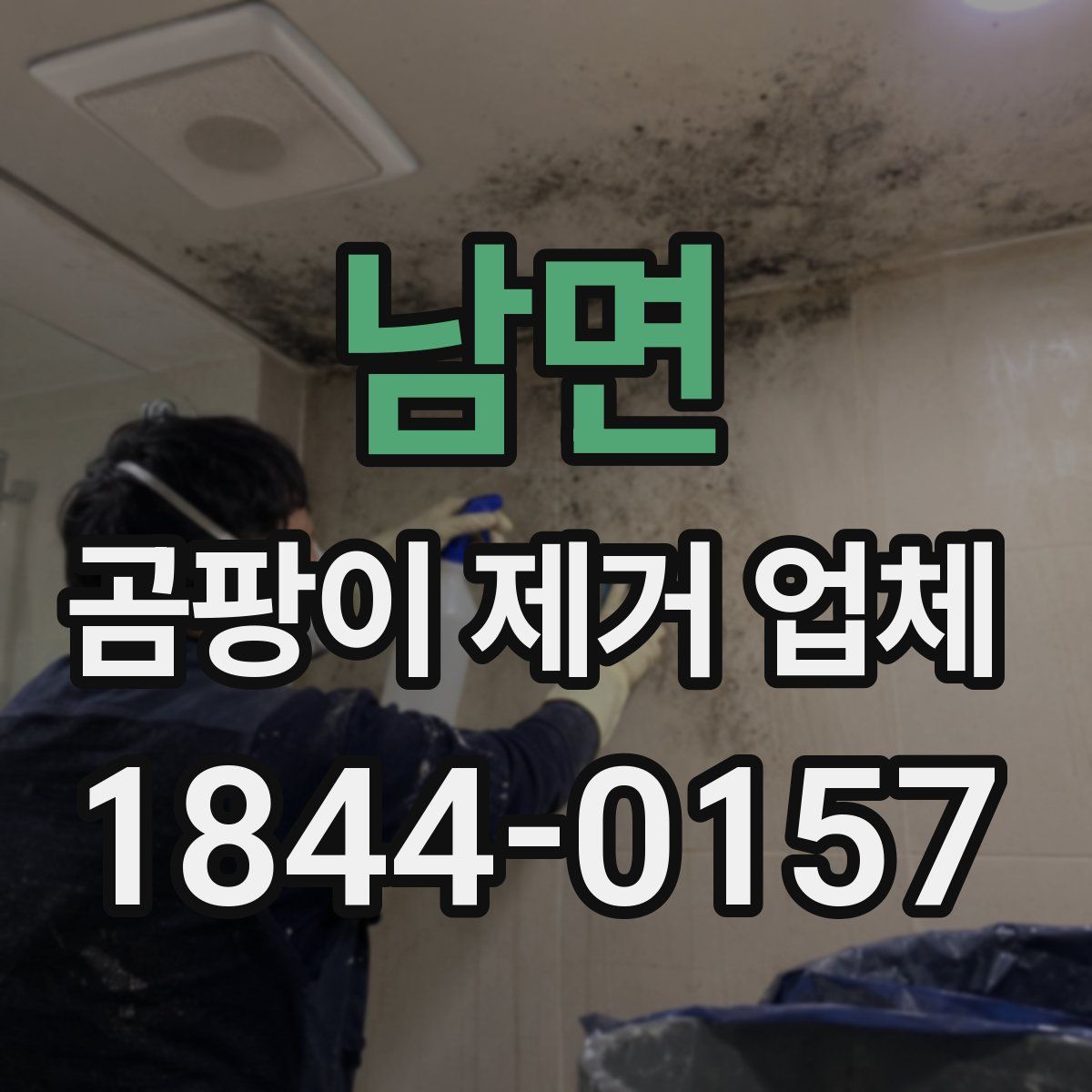 남면 곰팡이 제거 업체