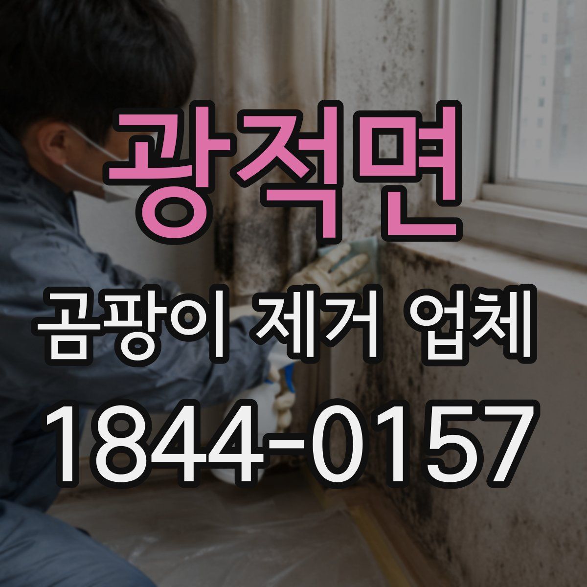 광적면 곰팡이 제거 업체