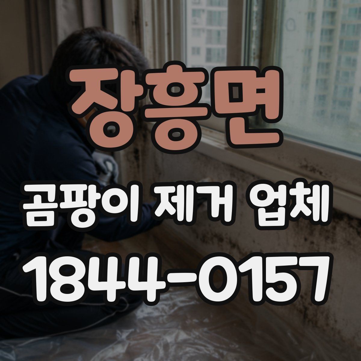 장흥면 곰팡이 제거 업체 표면 청소와 전문 시공의 차이