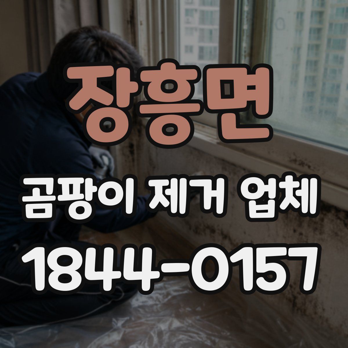 장흥면 곰팡이 제거 업체