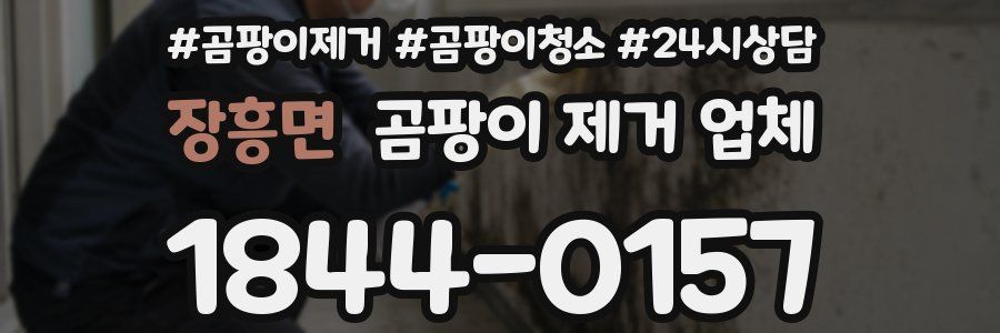 장흥면 곰팡이 제거 업체