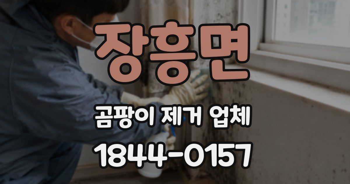 장흥면 곰팡이 제거 업체