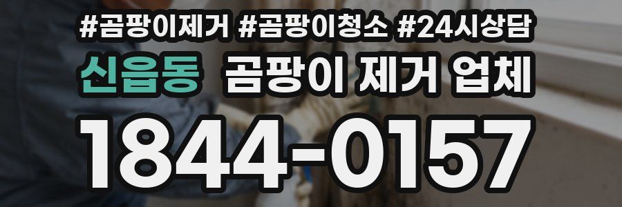신읍동 곰팡이 제거 업체