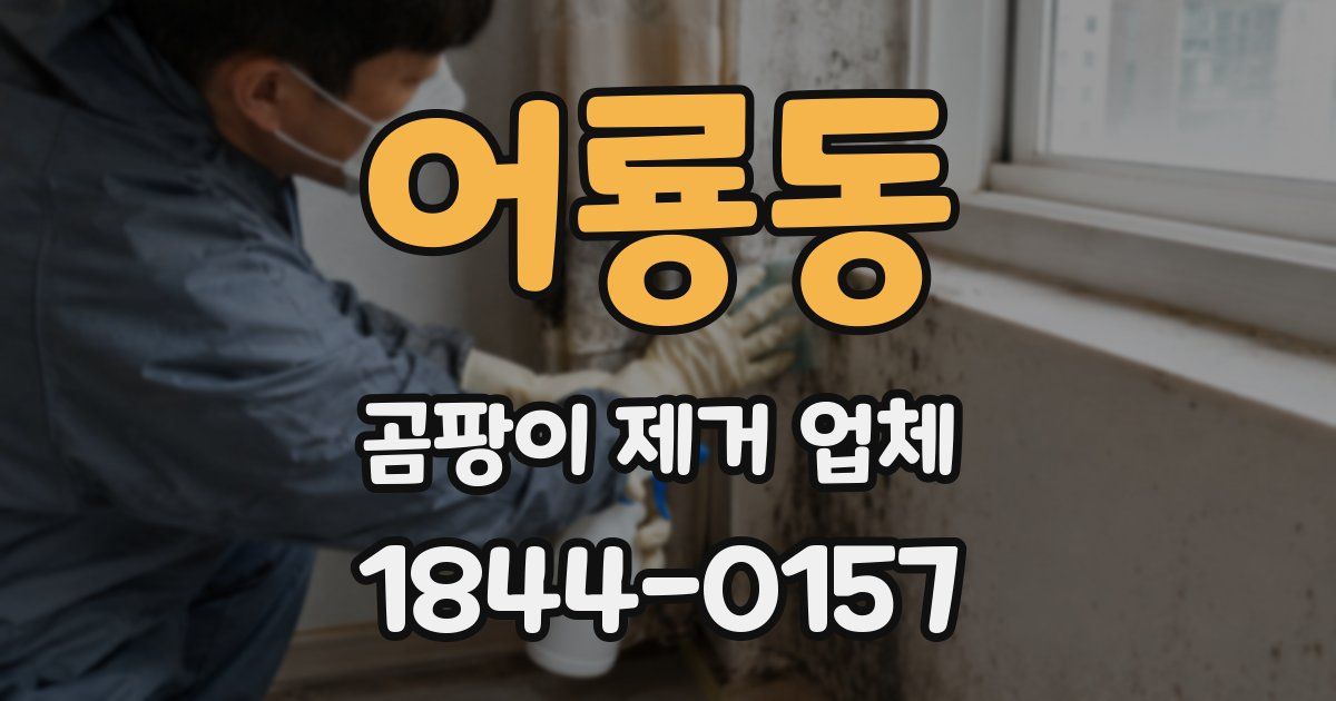 어룡동 곰팡이 제거 업체