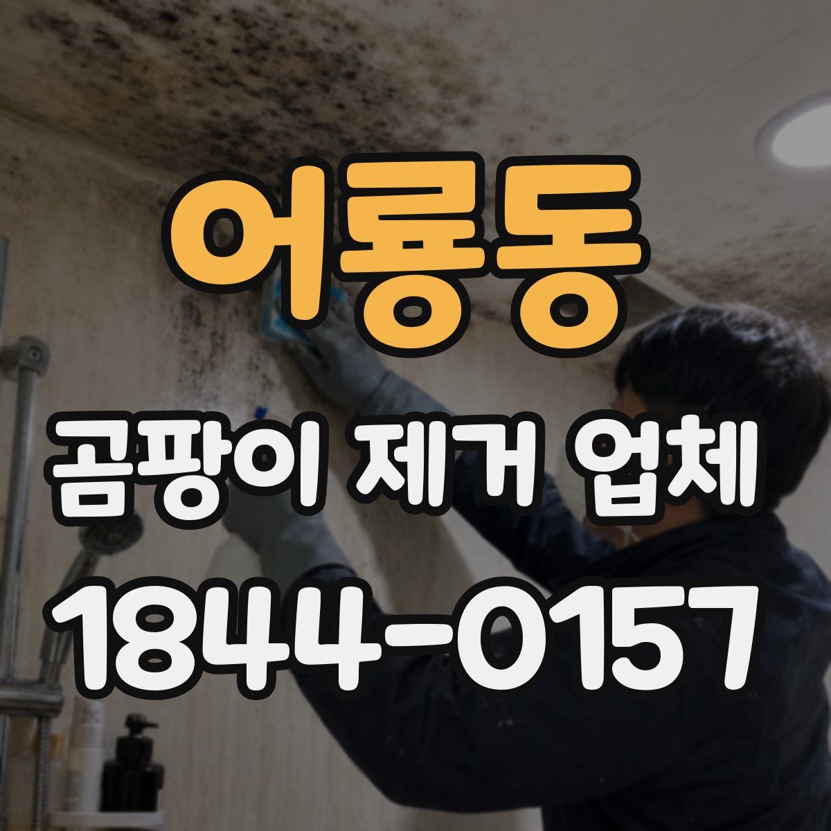 어룡동 곰팡이 제거 업체