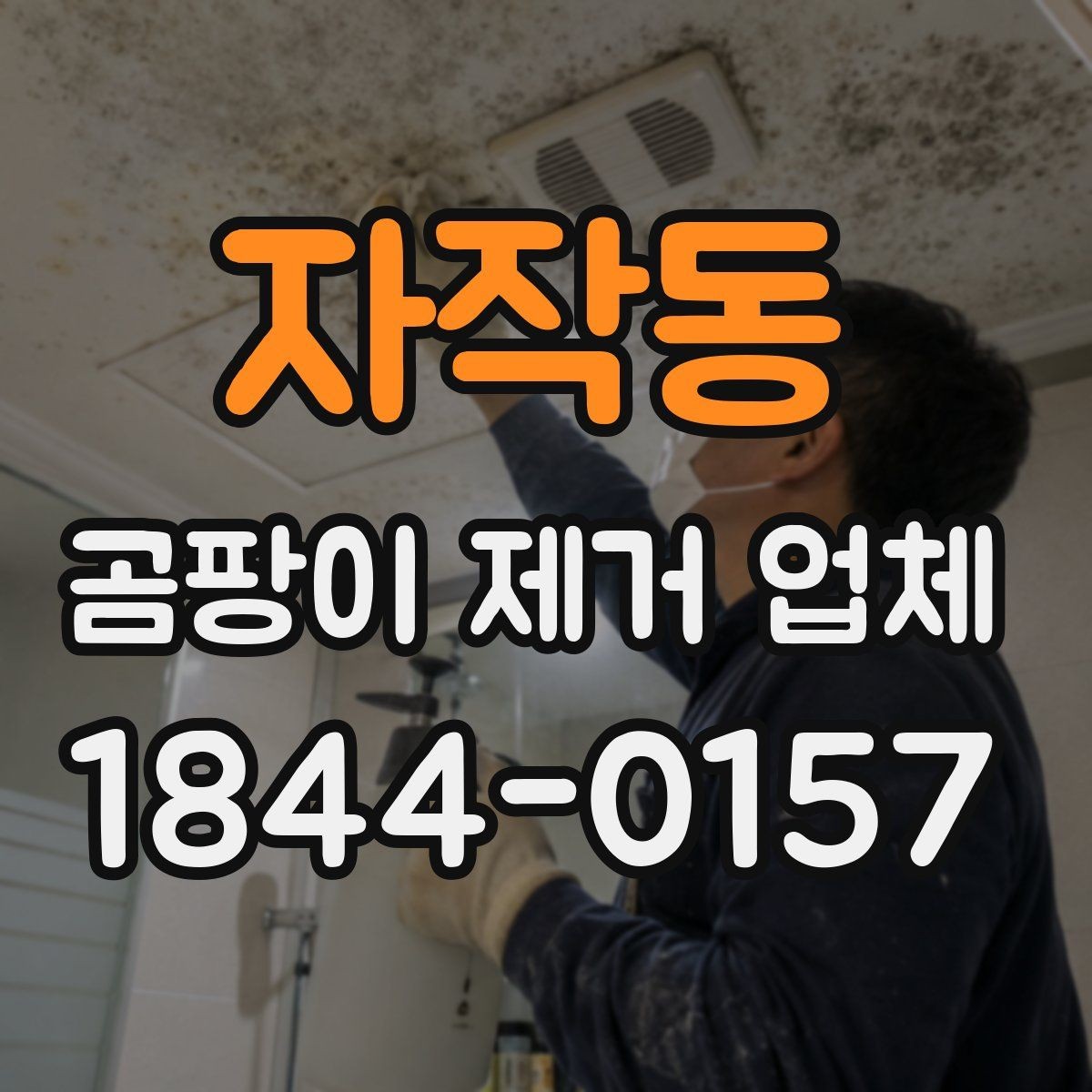 자작동 곰팡이 제거 업체 색이 짙은 오염과 옅은 흔적을 구분하는 법