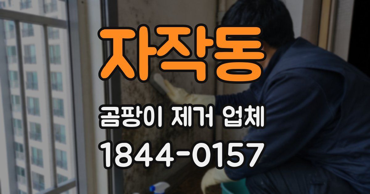 자작동 곰팡이 제거 업체
