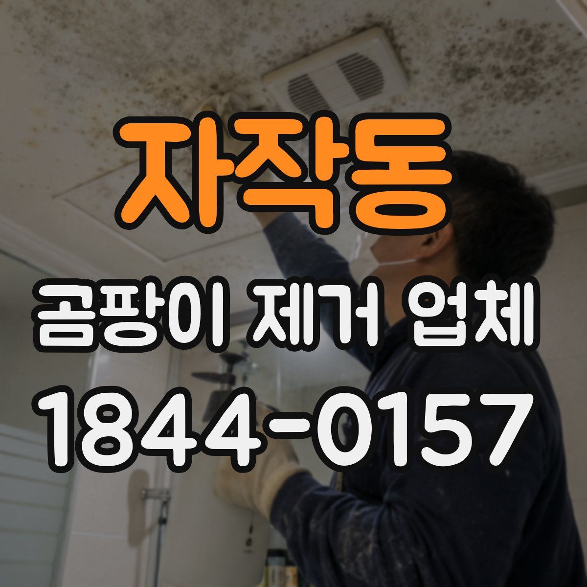 자작동 곰팡이 제거 업체