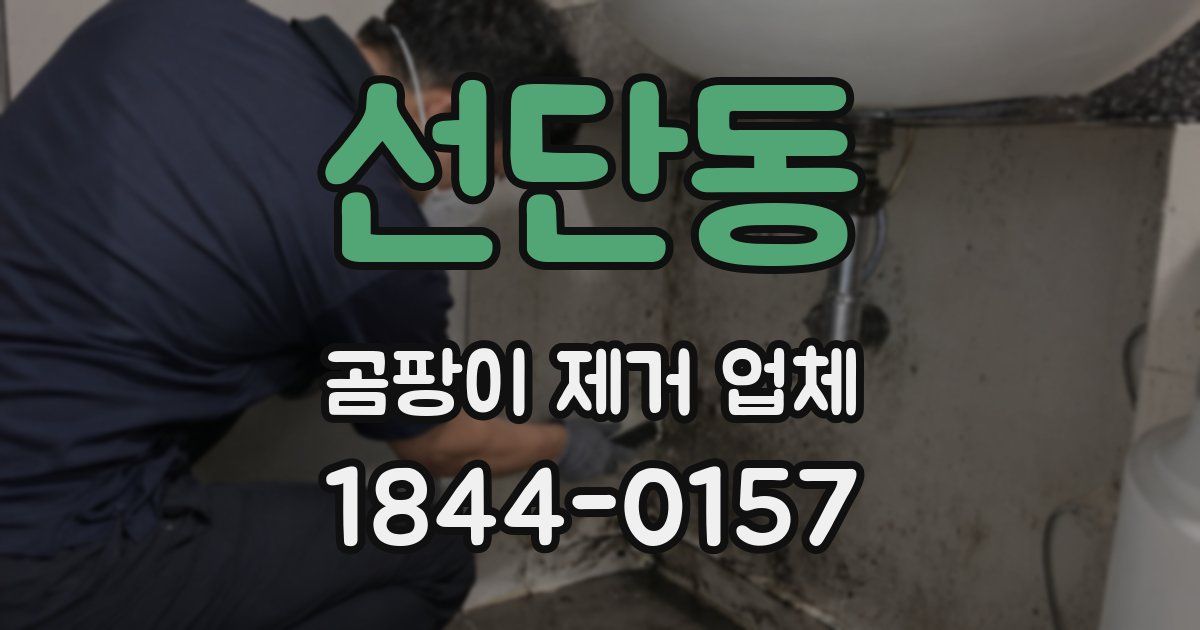 선단동 곰팡이 제거 업체